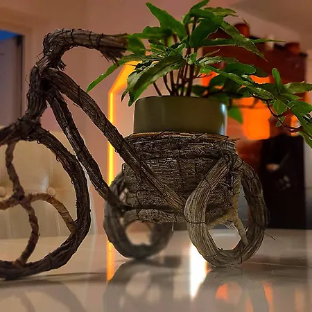 Nani - Banja Zdrelo Apartment