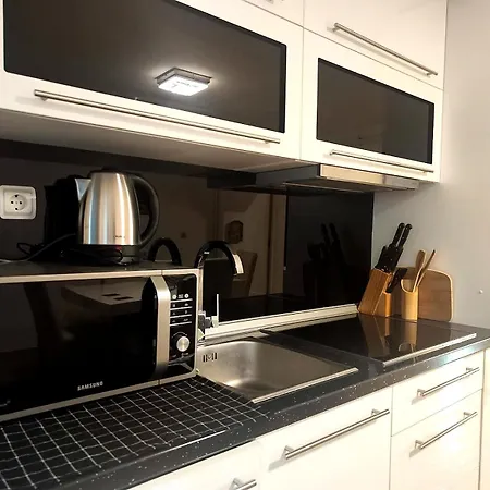 Apartment Nani - Banja Zdrelo Malo Laole