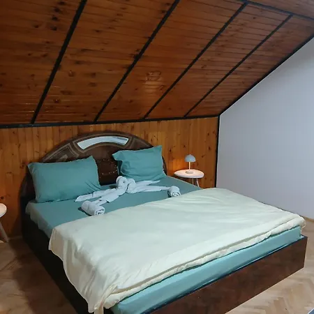 Apartment Nani - Banja Zdrelo